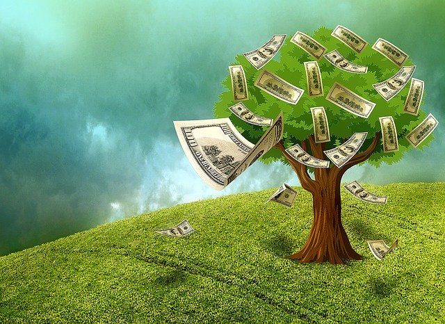 peníze na stromě